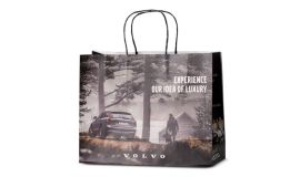 Papiertasche im Vollfarbdruck