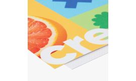 Budget-Banner